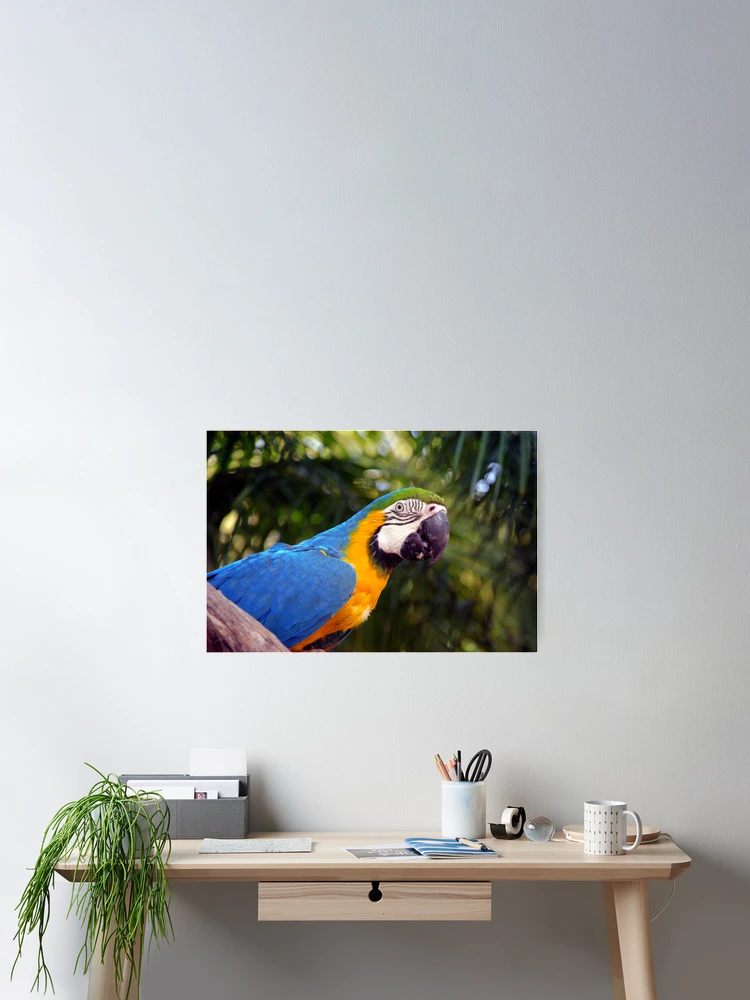 Thumbnail 2 of 3, Poster, McCaw designed and sold by Lux Dandelion.