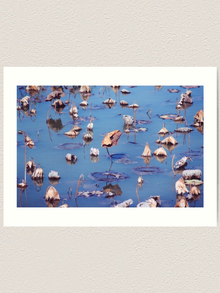 Alternate view of River Lotus Art Print