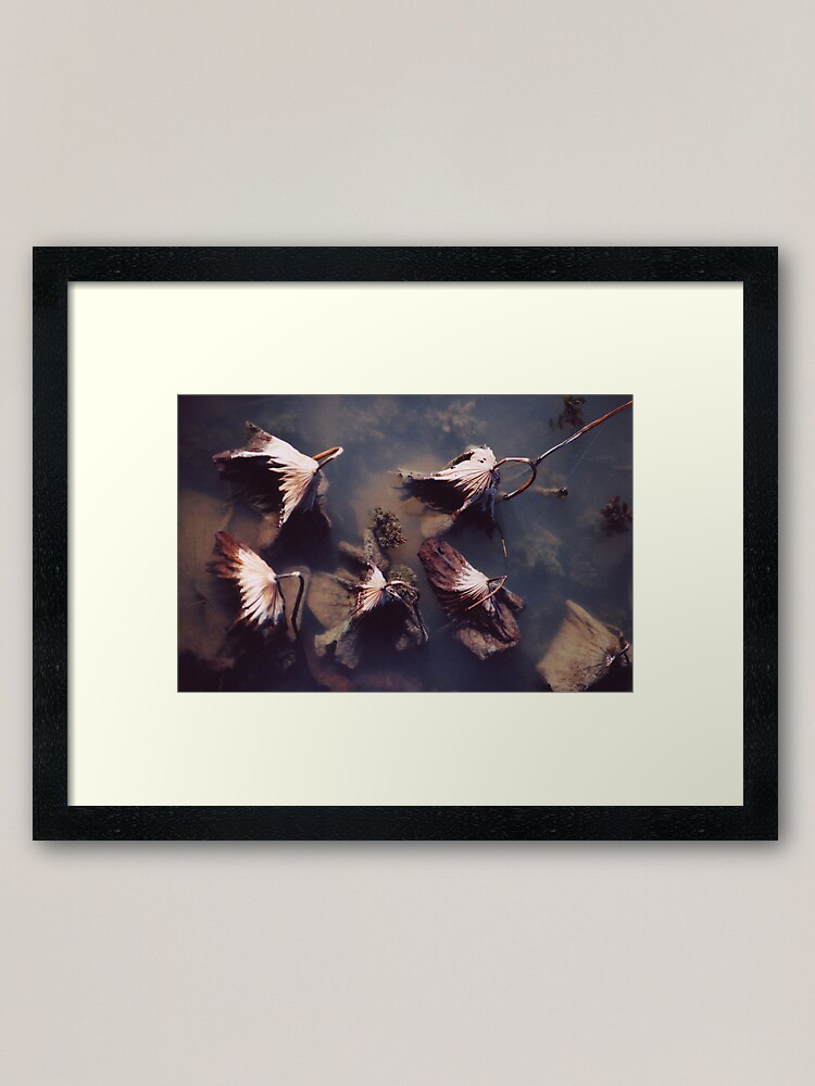 Alternate view of River Lotus Framed Art Print
