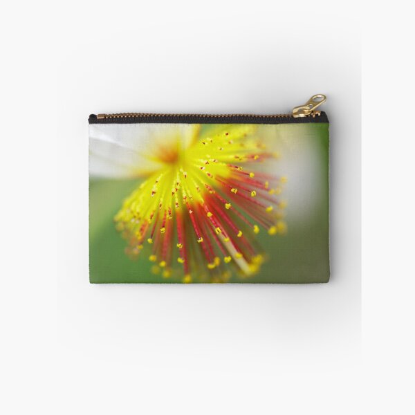 Item preview, Sparrmannia Africana designed and sold by heidipics.