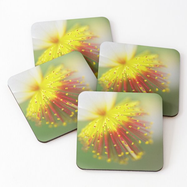 Item preview, Sparrmannia Africana designed and sold by heidipics.
