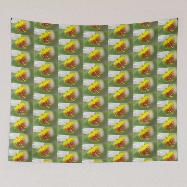 Item preview, Sparrmannia Africana designed and sold by heidipics.