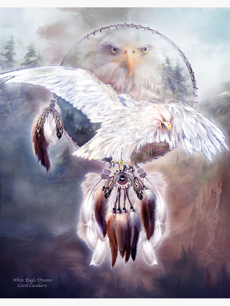 Lámina rígida « con un retrato de otro águila blanca en el fondo» de  carolcavalaris | Redbubble