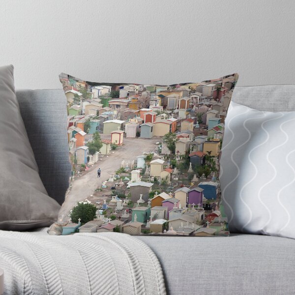 Throw Pillow