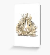 Fuzzy guineapig watercolour Greeting Card