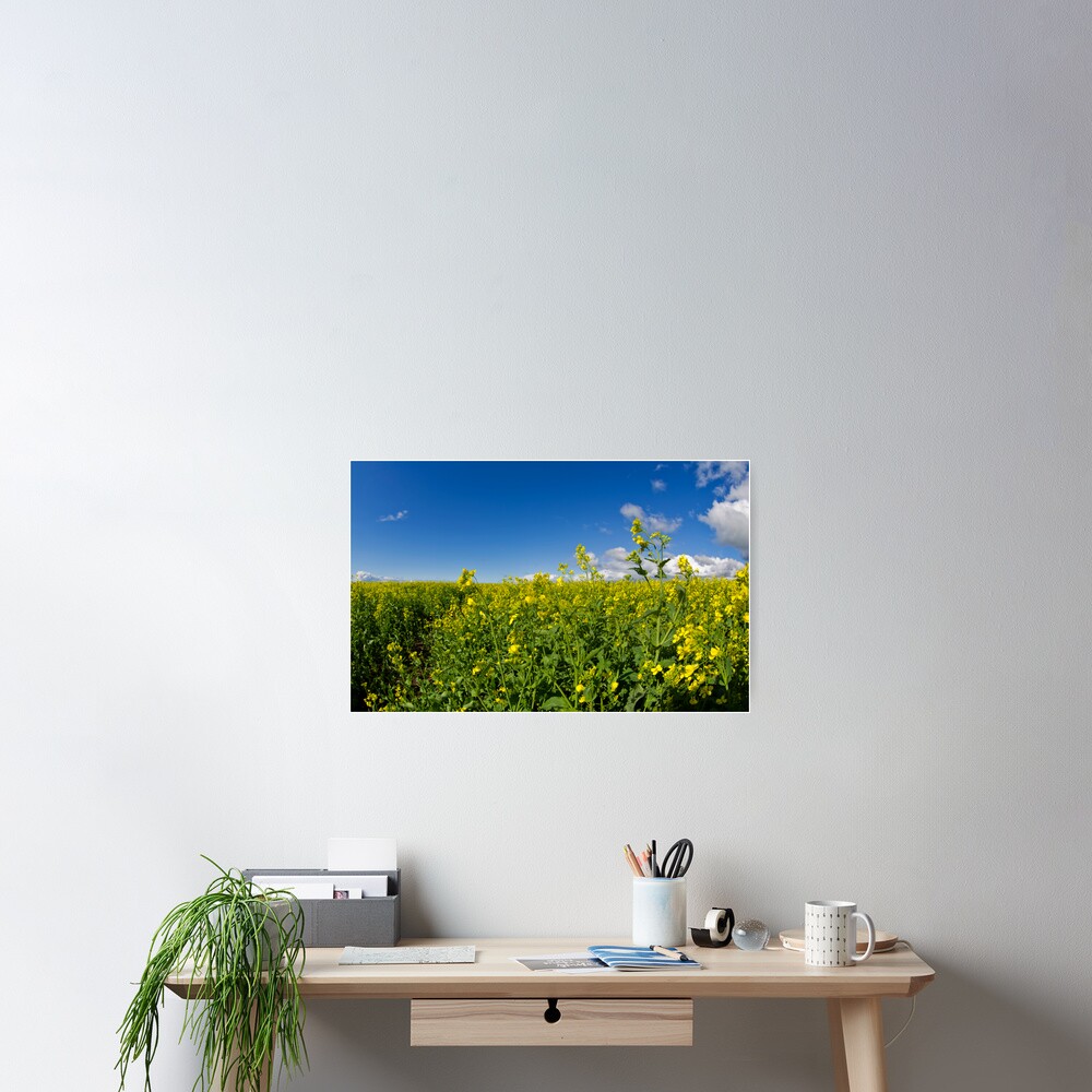 Follow the Sun Poster