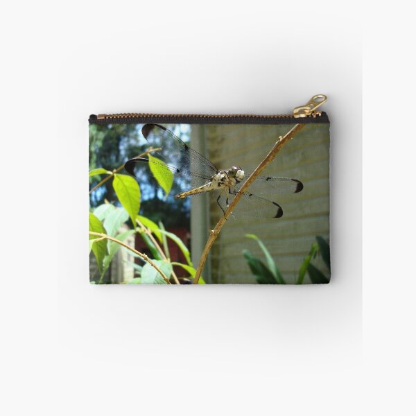 Item preview, Great Blue Skimmer dragonfly (female) designed and sold by May Lattanzio.