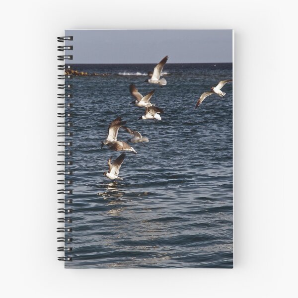 Item preview, Feeding Time designed and sold by dcdigital.