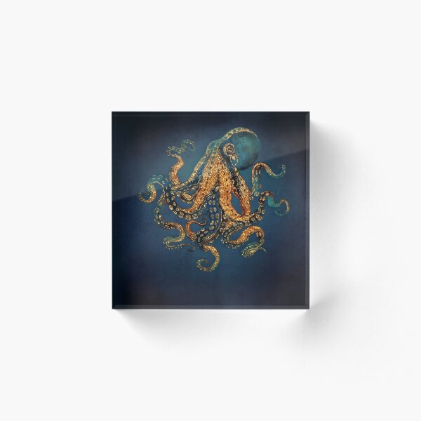 Underwater Dream IV Acrylic Block