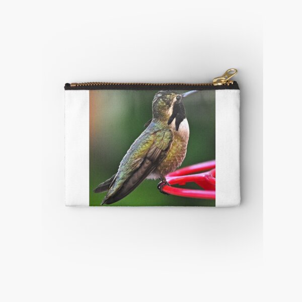 Item preview, MALE COSTA'S HUMMINGBIRD ON FEEDER designed and sold by JAYMILO.