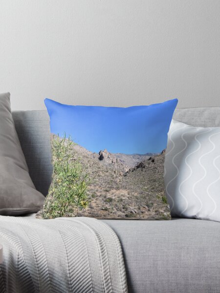 Vista previa del artículo con la obra «Sabino Canyon», diseñado y vendido por Kathleen Brant.