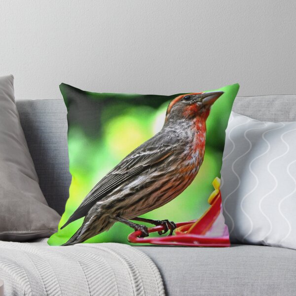 Item preview, ADULT MALE HOUSE FINCH designed and sold by JAYMILO.