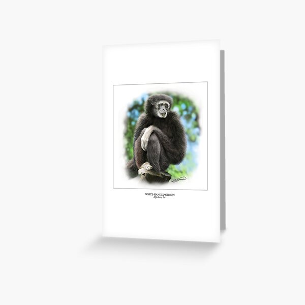 WHITE-HANDED GIBBON 2 Greeting Card