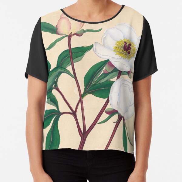 Botanical illustration: Peonies by Henry Charles Andrews – State Library Victoria Chiffon Top