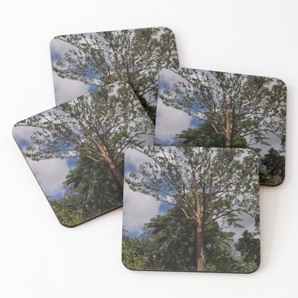 Item preview, Rainbow Eucalyptus - Tall, Proud and Beautiful designed and sold by Georgia Mizuleva.