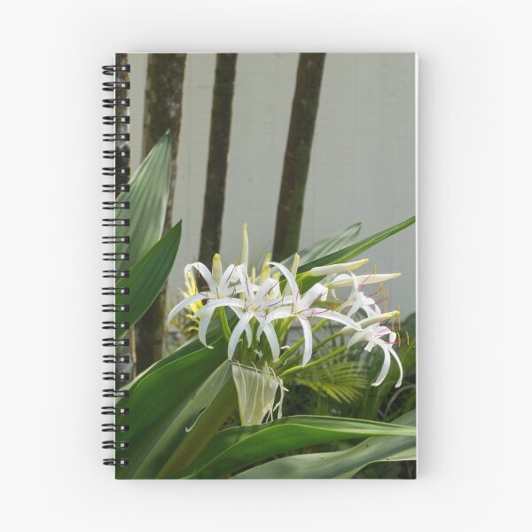 Item preview, A Garden Like an Ikebana Flower Arrangement designed and sold by Georgia Mizuleva.