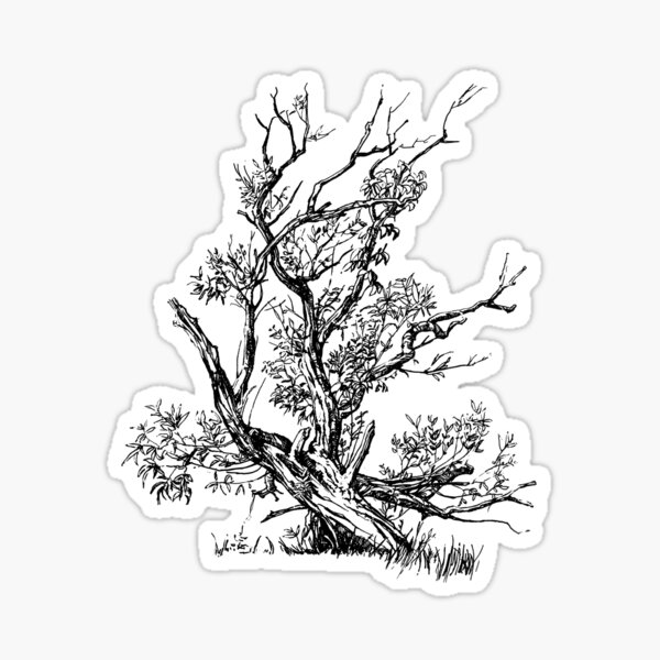 Tree Sticker