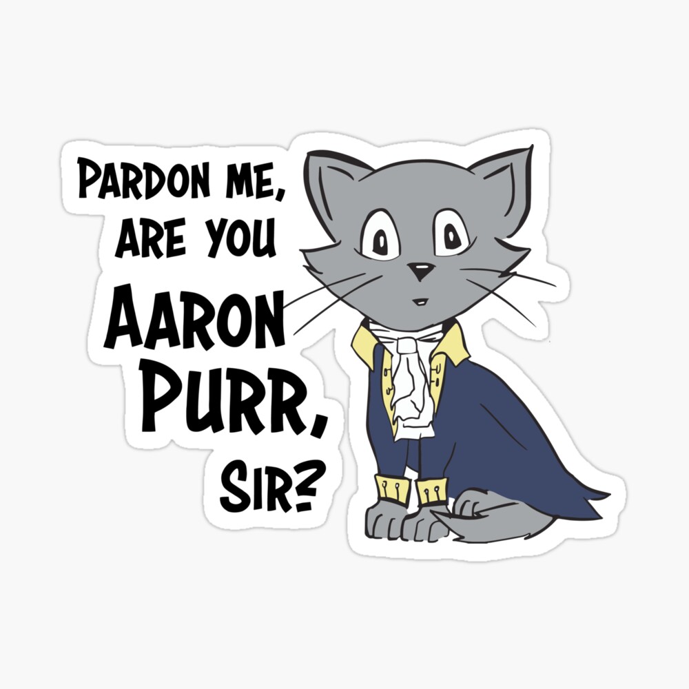 Pardon Me Are You Aaron Purr, Sir? Hamilcat Shirt, Hoodie - TeeDragons