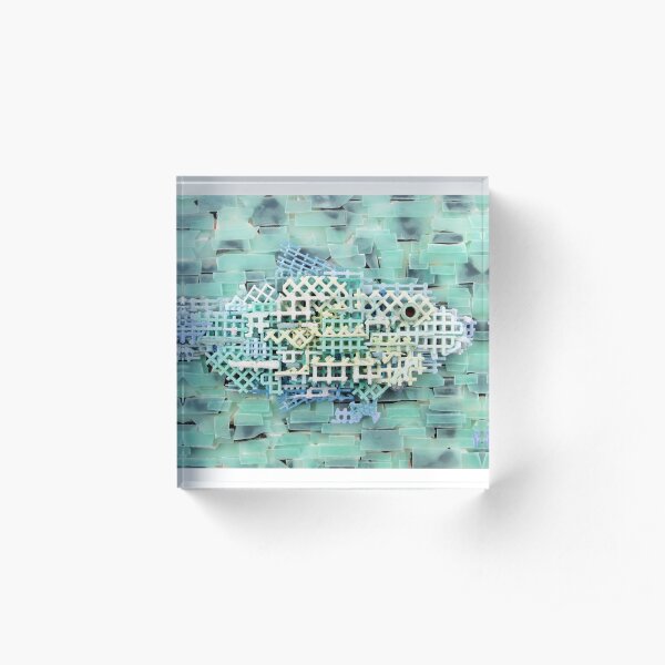 Ghost Net Acrylic Block
