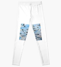 Podcast Leggings