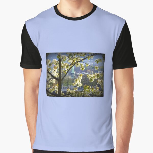 Item preview, Zurich View designed and sold by Vaengi.