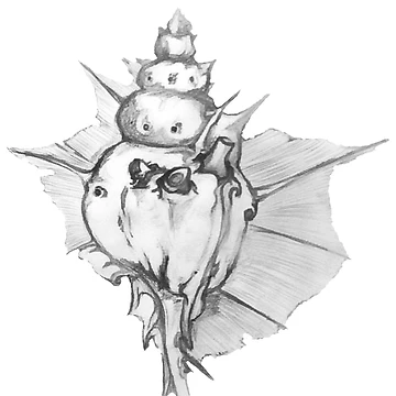 Artwork thumbnail, Heart Conch by Riddle89