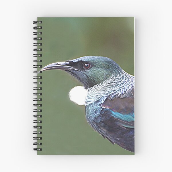 Item preview, Tui.....keep your distance.........!! designed and sold by Roy  Massicks.