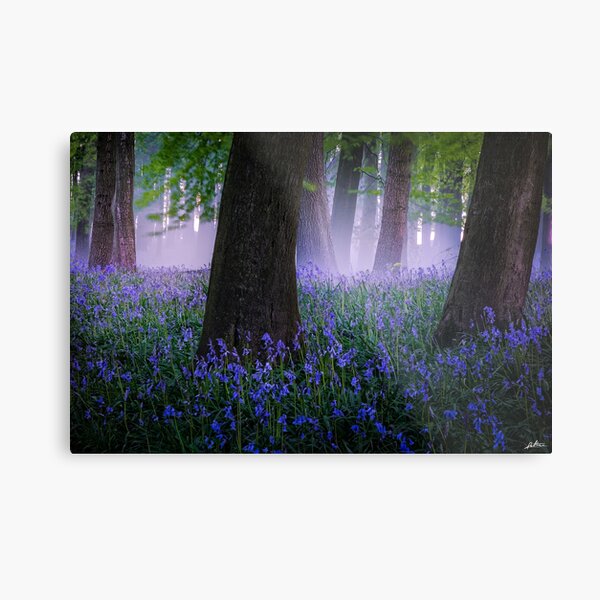 Am I dreaming? Metal Print