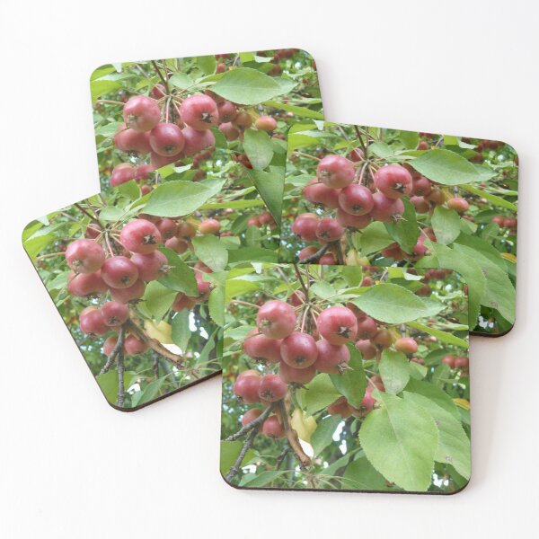 Item preview, Cheekbones in late summer designed and sold by Martin Boisvert.