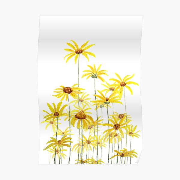 yellow Jerusalem artichoke flower watercolor Poster