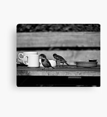 Sparrows at Tea-Time Canvas Print