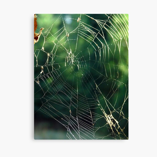 Item preview, spider web designed and sold by tego53.