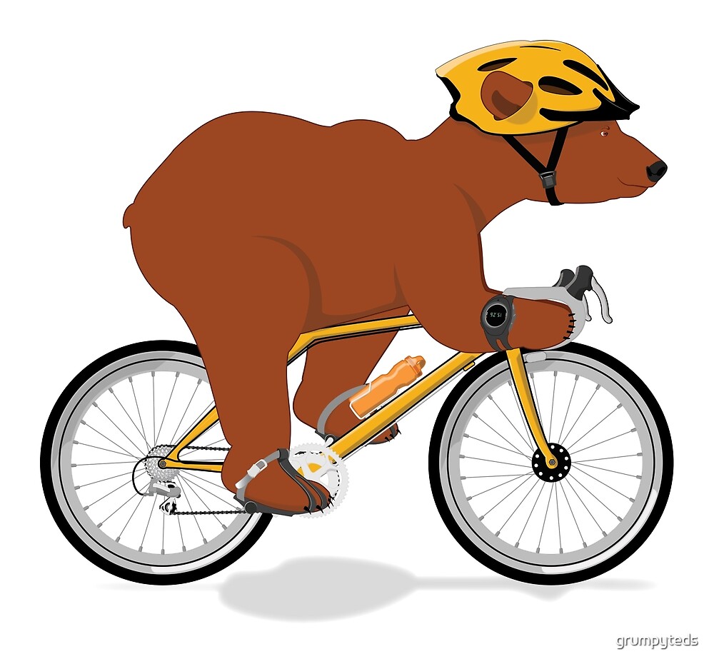 cycling paddington bear