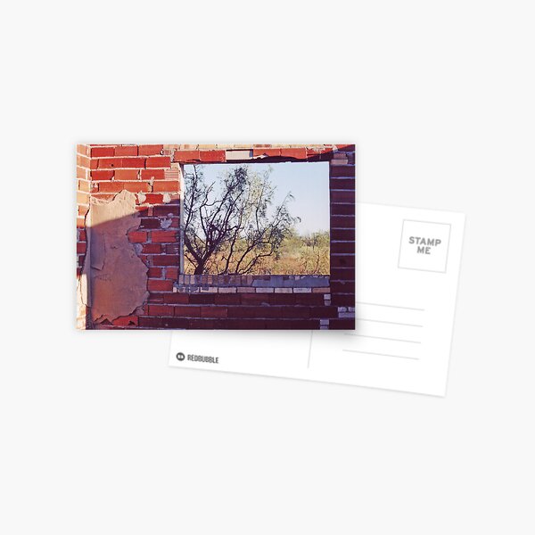 Abandoned Window Postcard