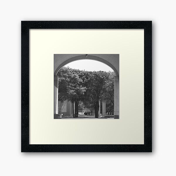Kimbell Art Museum Arch Framed Art Print