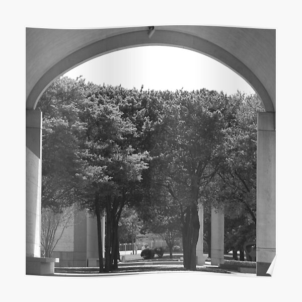 Kimbell Art Museum Arch Poster