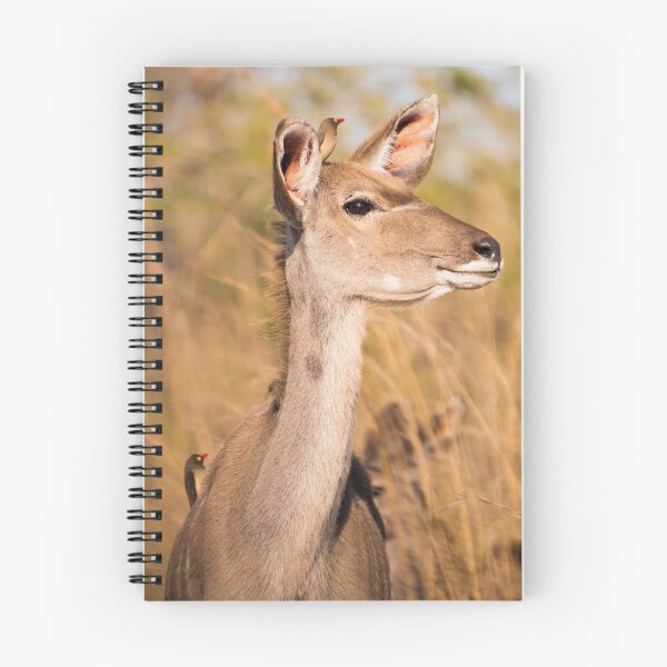 Item preview, Kudu and Red Billed Oxpeckers, South Africa designed and sold by Erik Schlogl.