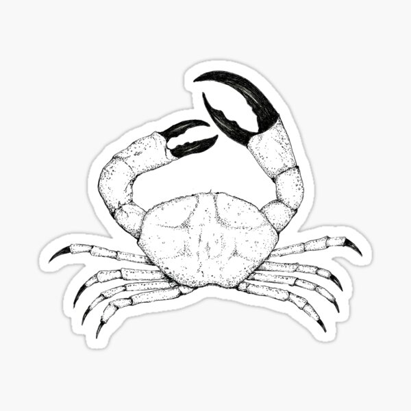 &ldquo;TASMANIAN GIANT CRAB&rdquo; Sticker for Sale by AmandaWebster | Redbubble