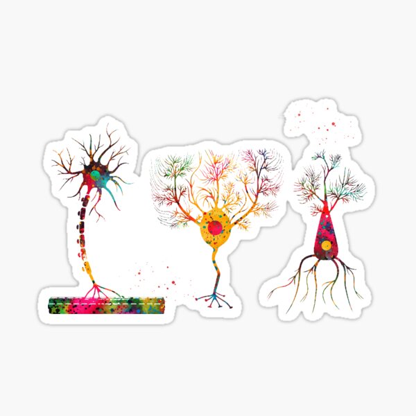 Item preview, Multipolar Neuron designed and sold by Liededrom..
