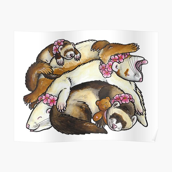 Sleeping ferret pile Poster