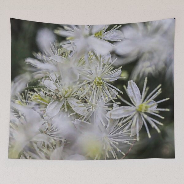 Item preview, White Old Man's Beard (Clematis vitalba) Macro Flowers Cool Floral Gifts designed and sold by r-silver.