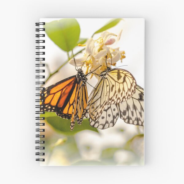 Item preview, Sharing designed and sold by PhotosByHealy.
