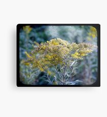 Autumn Hues TTV Metal Print