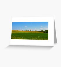 There's gold in them-there hills... Greeting Card