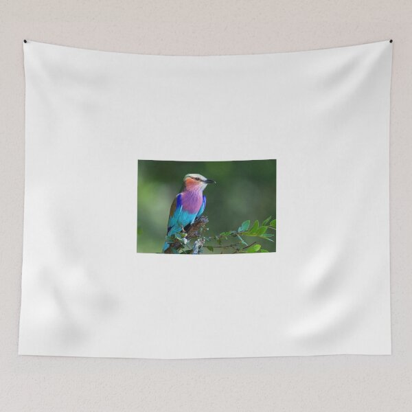 Item preview, Delta Lilac Breasted Roller designed and sold by Anthony Goldman.