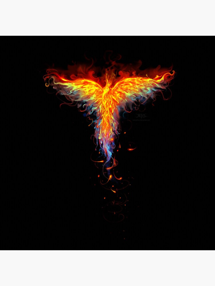 phoenix bird phoenix bird