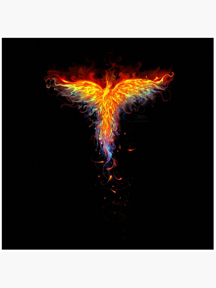 Phoenix by maxprint  Phoenix artwork, Phoenix wallpaper, Real phoenix bird