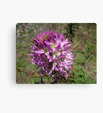 Macro Flower Canvas Print