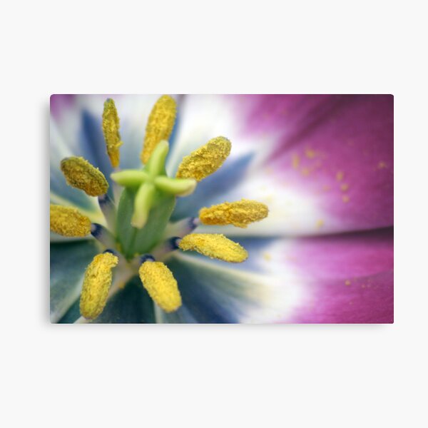 Pollen Metal Print