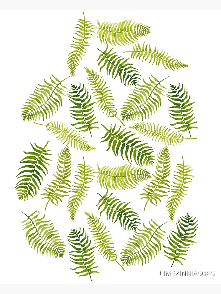 Fern Limelight by LIMEZINNIASDES
